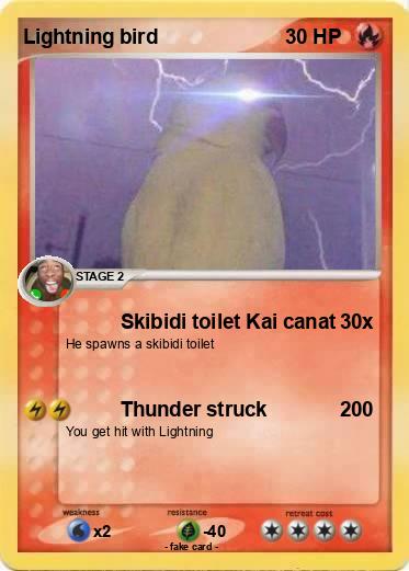 Pokemon Lightning bird