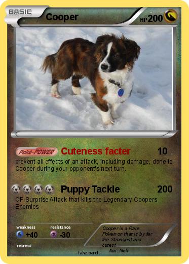 Pokemon Cooper