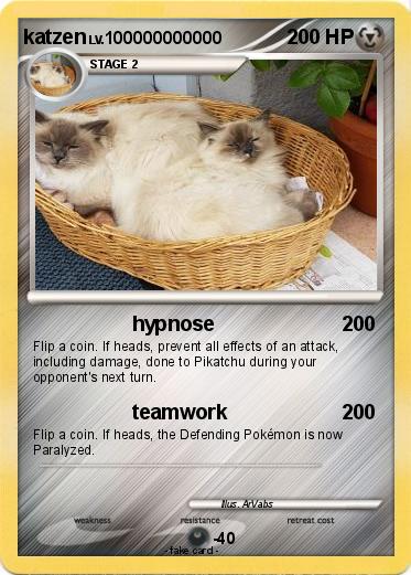 Pokemon katzen