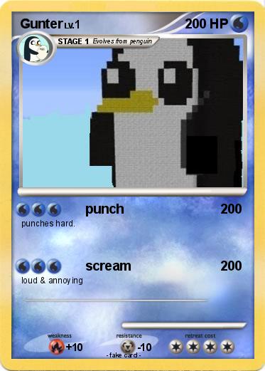 Pokemon Gunter