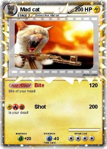 Pokemon Mad cat