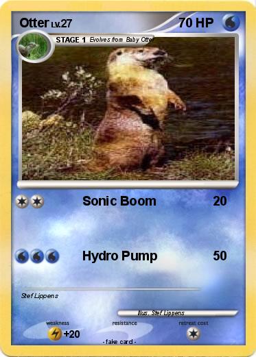Pokemon Otter
