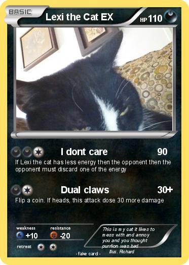 Pokemon Lexi the Cat EX
