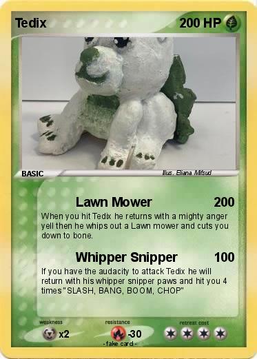 Pokemon Tedix