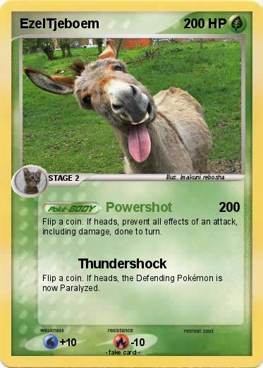 Pokemon EzelTjeboem