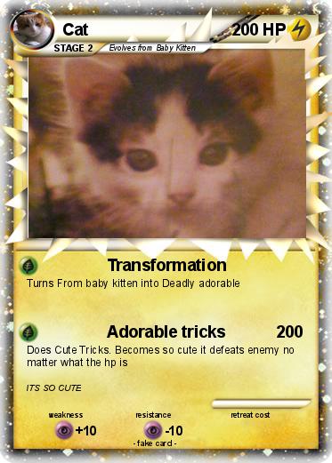 Pokemon Cat