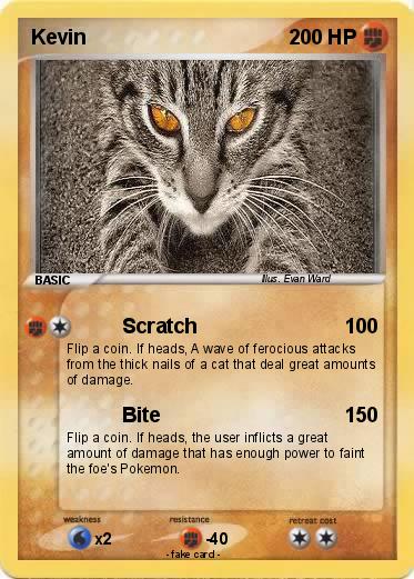 Pokemon Kevin