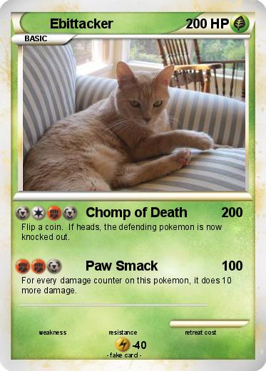 Pokemon Ebittacker