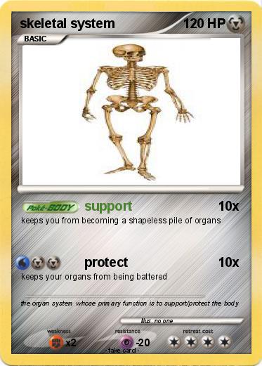 Pokemon skeletal system