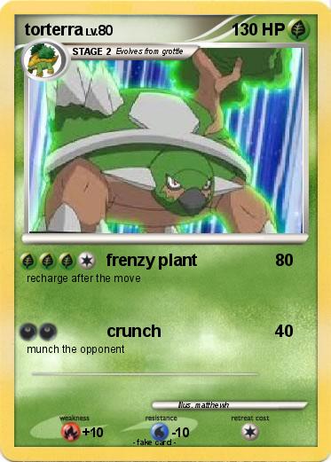 Pokemon torterra