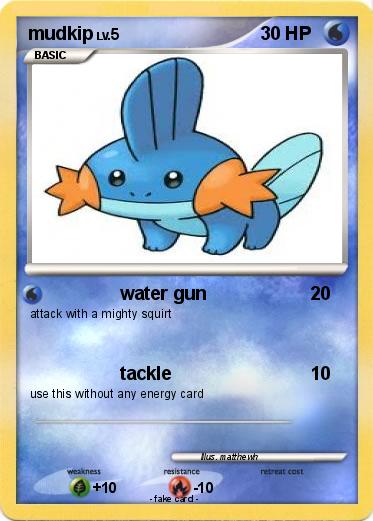 Pokemon mudkip