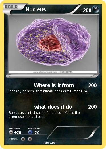 Pokemon Nucleus