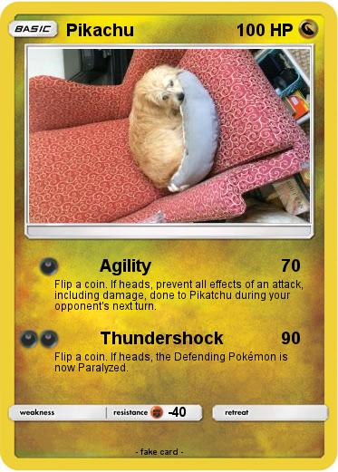 Pokemon Dark dog