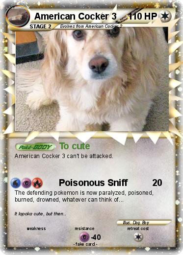 Pokemon American Cocker 3