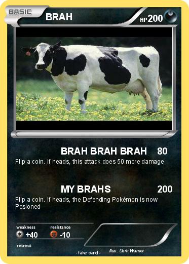Pokemon BRAH