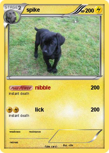 Pokemon spike