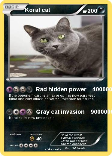 Pokemon Korat cat