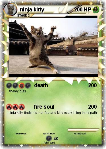 Pokemon ninja kitty