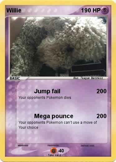 Pokemon Willie