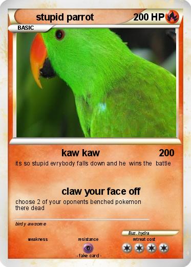 Pokemon stupid parrot