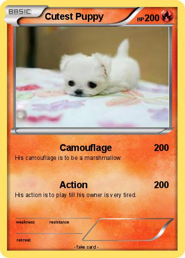 Pokemon Cutest Puppy