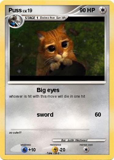 Pokemon Puss