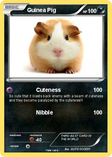 Pokemon Guinea Pig