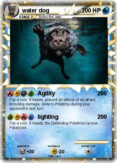 Pokemon water dog
