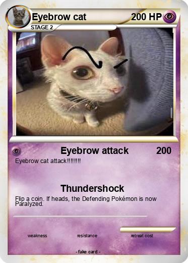 Pokemon Eyebrow cat