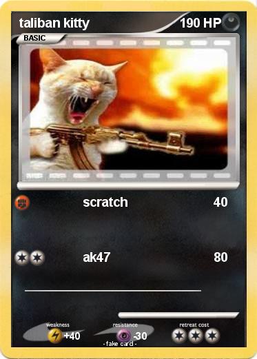 Pokemon taliban kitty