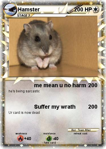 Pokemon Hamster