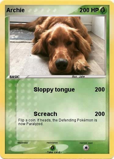 Pokemon Archie