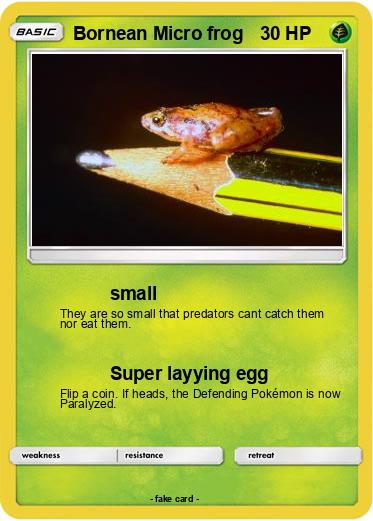Pokemon Bornean Micro frog