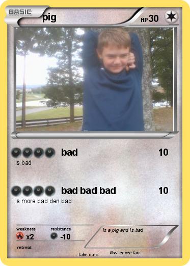 Pokemon pig