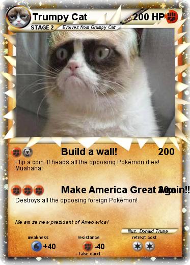 Pokemon Trumpy Cat