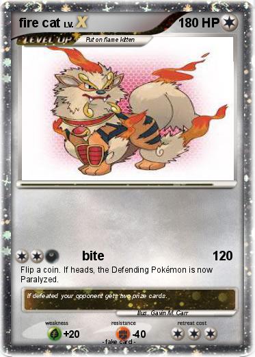 Pokemon fire cat