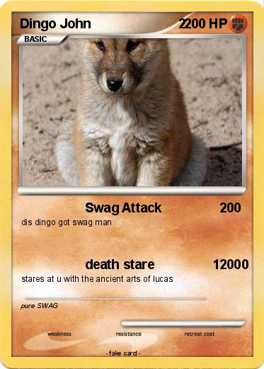 Pokemon Dingo John                        2