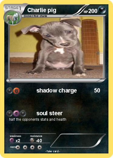 Pokemon Charlie pig
