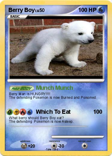 Pokemon Berry Boy