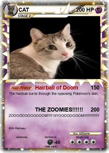 Pokemon CAT