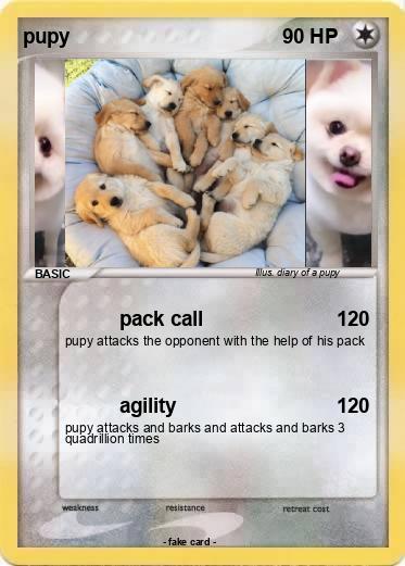 Pokemon pupy