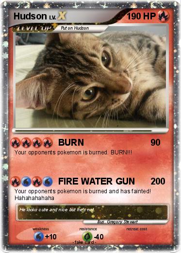 Pokemon Hudson