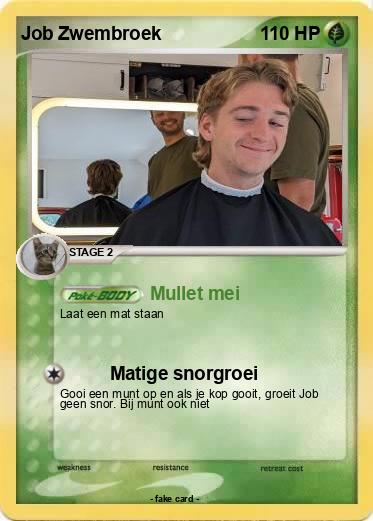 Pokemon Job Zwembroek