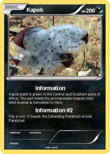 Pokemon Kapok