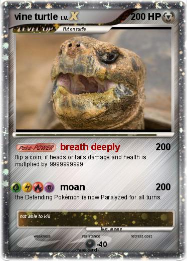 Pokemon vine turtle