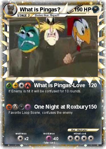 Pokemon What is Pingas?