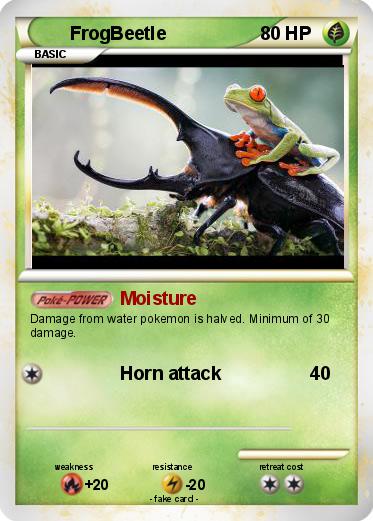 Pokemon FrogBeetle