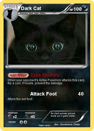 Pokemon Dark Cat