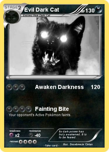 Pokemon Evil Dark Cat