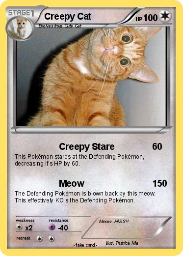 Pokemon Creepy Cat